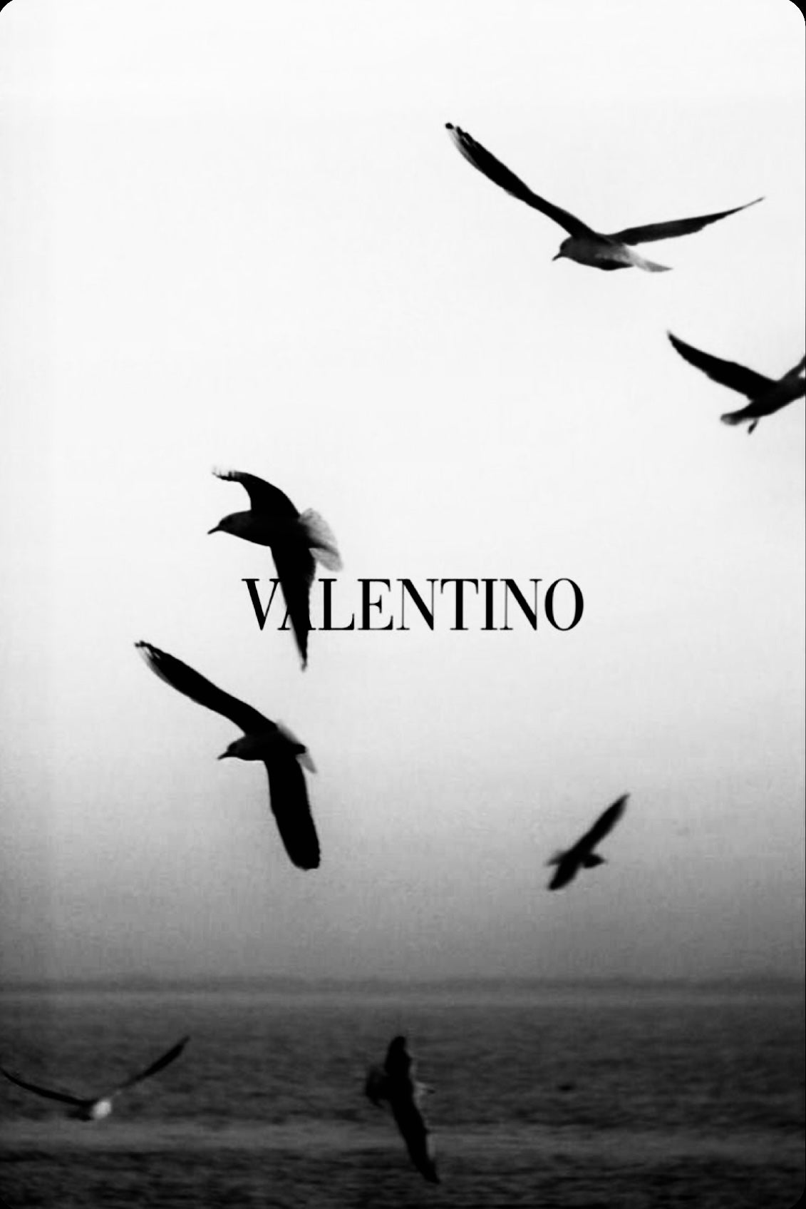 Valentino